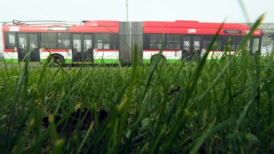 Miasto kupuje kolejne trolejbusy, ale nowych linii nie będzie. W planach budowa 8 km sieci