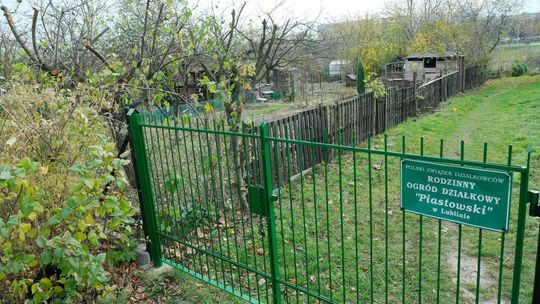 Miasto musi oddać działkę koło hali Globus. Działa tam Rodzinny Ogród Działkowy „Piastowski”