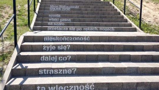Miasto Poezji: Potknij się o mądry wiersz na schodach