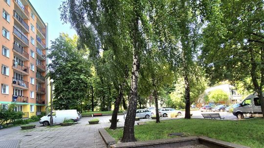 Miasto zabiera się za rozbudowę amfiteatru i przebudowę skweru na Tatarach