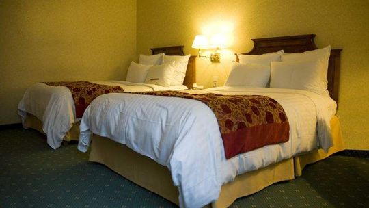 Miasto zafunduje hotel 109 muzykom