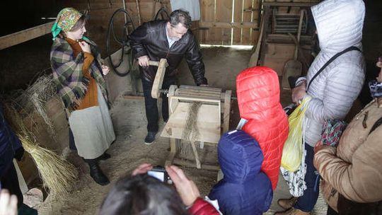 Międlenie i cierlenie. Niedziela z lnem w skansenie [zdjęcia]