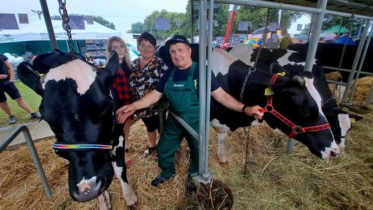 Między jałówką, alpaką, królikiem... Jedyna taka wystawa w Sitnie