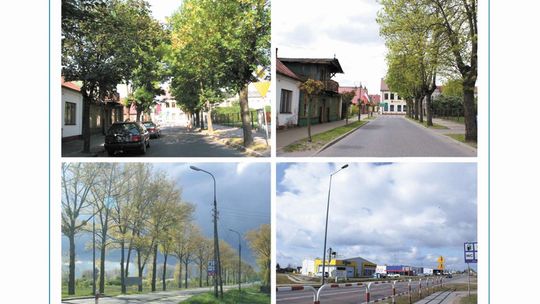 Między nami a drzewami. Wystawa we Włodawie