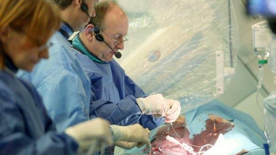 Międzynarodowo na sali operacyjnej. Inwazja na zamknięte tętnice