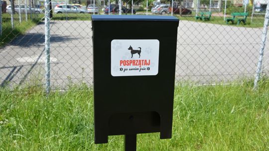 Międzyrzec Podlaski uczy mieszkańców sprzątania po psach 