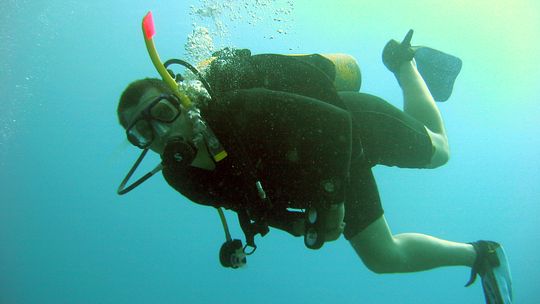 Międzyrzec Podlaski. Zanurkuj na basenie