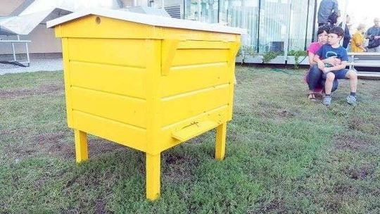 Miejska Pasieka Artystyczna na dachu CSK (zdjęcia)