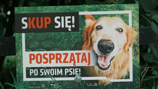 Miejskie tabliczki przypomną o obowiązkach właścicieli czworonogów