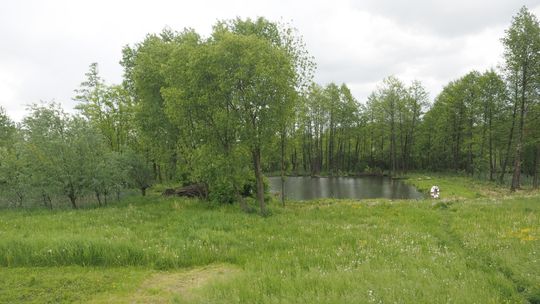 Mieli budować kopalnię w woj. lubelskim. Chcą miliardów odszkodowania od rządu