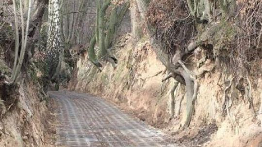 Mieli położyć betonowe płyty w wąwozie w Kazimierzu Dolnym. Miasto zerwało z nimi umowę. Sprawa trafi do sądu?