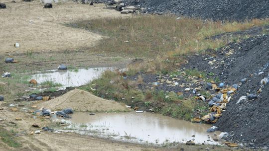 Mieszkańcy boją się nielegalnych śmieci. Skąd się tutaj wzięły? [zdjęcia]