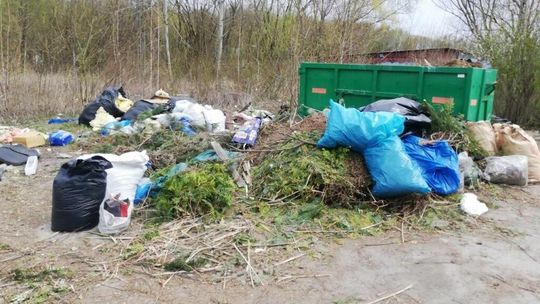 Mieszkańcy Kraśnika chcą pojemników na trawę i gałęzie. Co na to miasto?