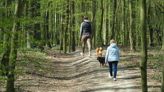 Mieszkańcy Lublina ruszyli do parków i lasów. Kiedy zostanie otwarty Ogród Botaniczny?