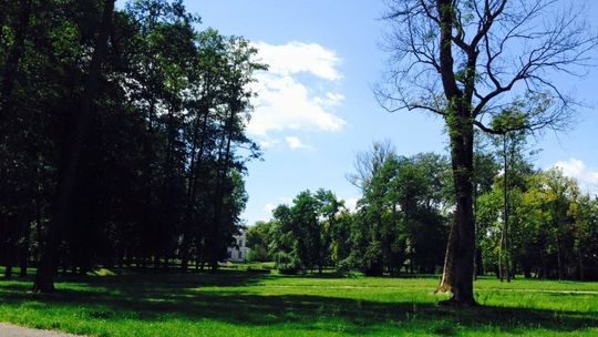 Mieszkańcy nie chcą spopielarni zwłok zwierząt koło parku. Inwestor wyjaśnia co tak naprawdę chce zbudować