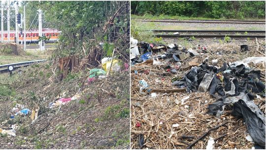 Mieszkańcy nie mogli doprosić się o posprzątanie. Wystarczył jeden mail