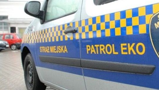 Mieszkańcy nie zagłosowali za eko-patrolem. Petycja pomoże? 