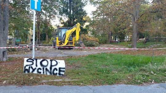 Mieszkańcy protestują przeciwko wycince drzew przy ul. Skautów. „Nie spodziewaliśmy się, że je wytną”