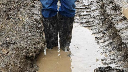 Mieszkańcy przyszli na sesję w brudnych gumowcach