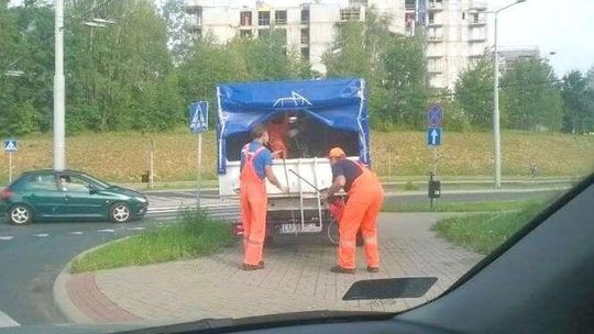 Mieszkańcy skarżą się na opryski w mieście. "Trują nasze psy"