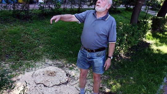 Mieszkańcy ul. Urzędowskiej bronią drzew, które sadzili