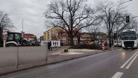 Mieszkańcy zaskoczeni wycinką drzew. Ustąpią miejsca drodze przeciwpożarowej