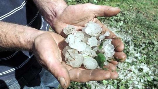 Mieszkańcy zrobili zrzutkę na pomoc dla poszkodowanych rolników