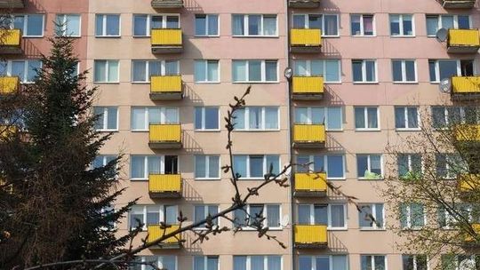 Mieszkanie dla studenta w Lublinie. Jak bezpiecznie wynająć?