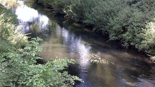Mieszkaniec: ktoś wylewa szambo do rzeki. Udało się ustalić kto, będzie mandat