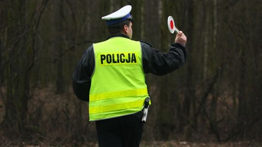 Mieszkaniec Lublina miał prawo jazdy rzekomo wydane przez... wójta