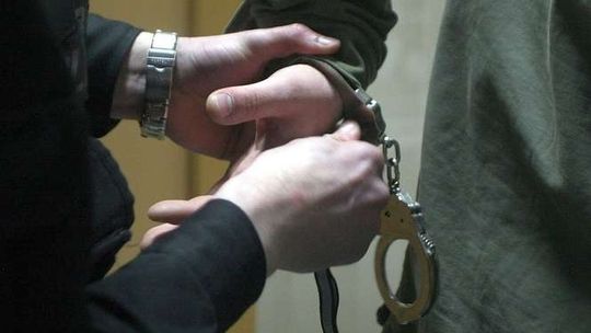 Mieszkaniec Lublina posiedzi za filmy porno z dziećmi i zwierzętami