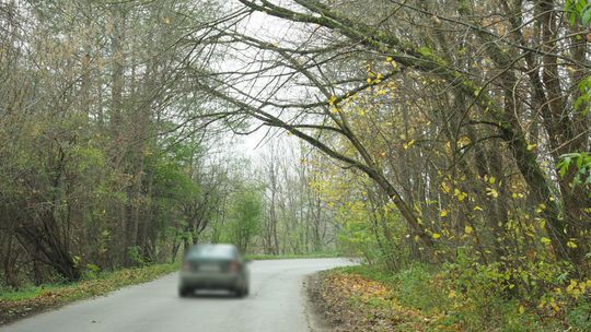 Mieszkaniec Łukowa wywieziony samochodem za miasto. Usłyszał, że zginie