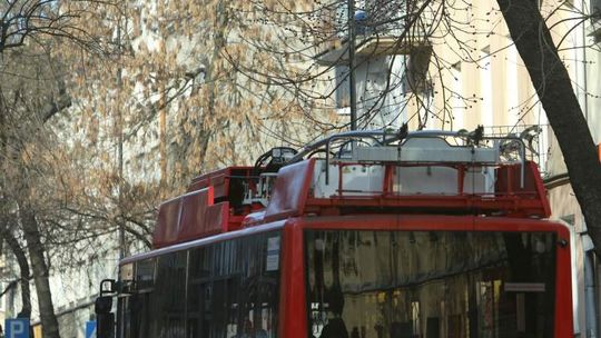 Mieszkaniec: Trolejbusy zaczepiają o drzewa. Urząd: Niech pan wyśle mapkę, zaznaczy gałęzie