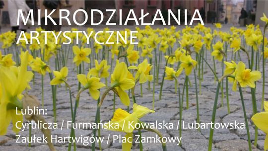 Mikrodziałania artystyczne 2018 w Lublinie