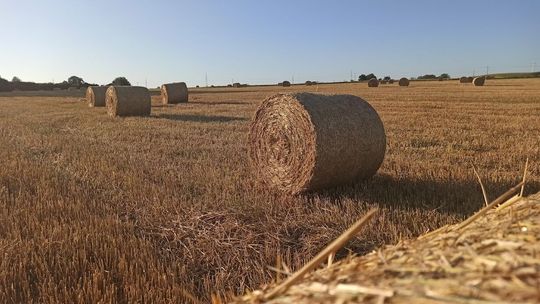 Miliony dla dawnych PGR-ów w puławskich gminach