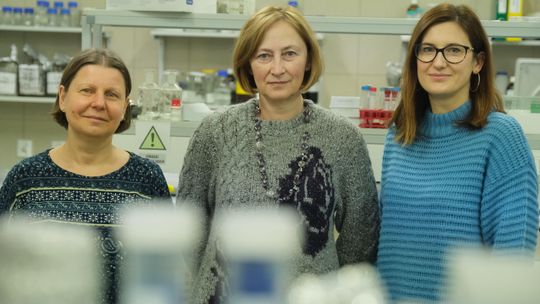 Miliony dla lubelskich naukowców