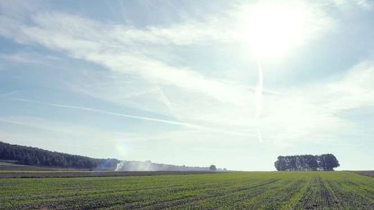 Minister odwołuje przetargi na sprzedaż państwowej ziemi. "Rolnicy ponoszą straty"
