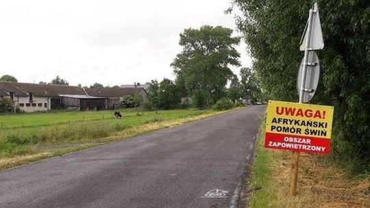 Ministerstwo potwierdza plany budowy płotu na granicy. Żołnierze będą strzelać do dzików?