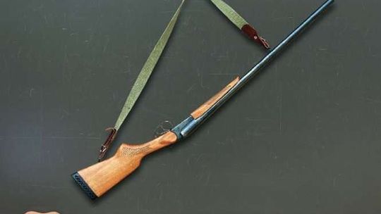 Ministerstwo: Uczniowie mają się uczyć o "ekoterroryzmie". Lekcje ekologii poprowadzą myśliwi