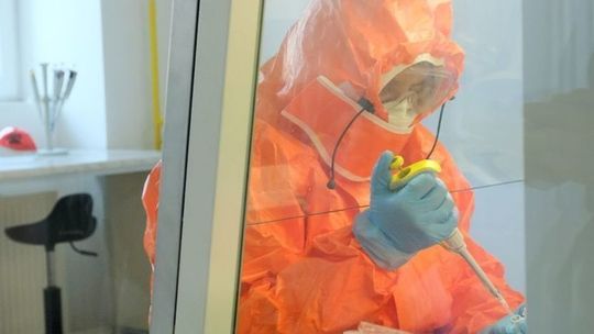 Ministerstwo Zdrowia: 135 laboratoriów diagnostycznych wykonuje testy na koronawirusa