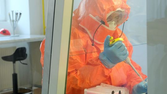 Ministerstwo Zdrowia: 36 nowych przypadków zakażenia koronawirusem w Polsce