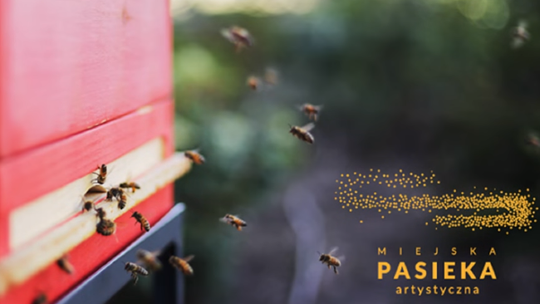 "Miodobranie" z Centrum Spotkania Kultur. Premiera kolejnego filmu