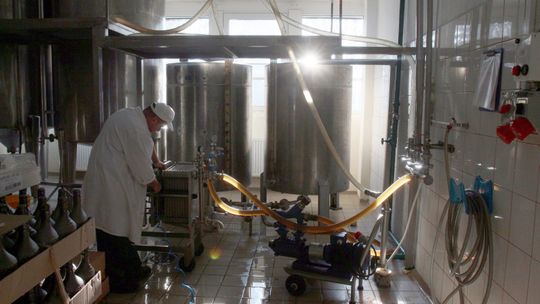 Miody płyną w świat