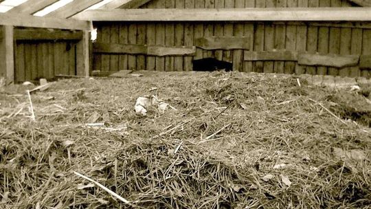 Mirosław Bałka w Galerii Labirynt