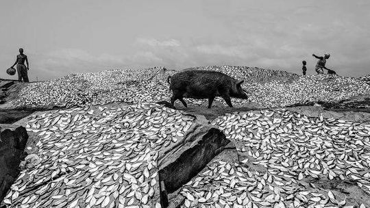 Mistrzowskie Warsztaty Fotograficzne Tomasza Tomaszewskiego