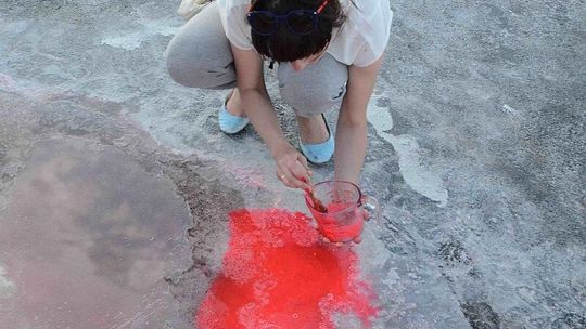 Młode Forum Sztuki w Galerii Białej