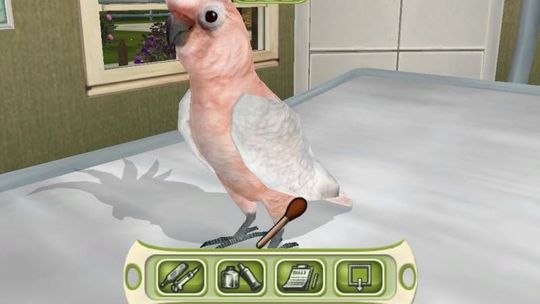 Młody Doktor 3: Lecznica dla zwierząt