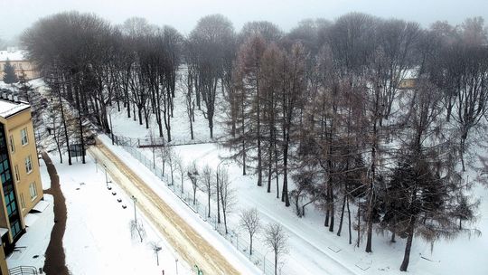 Młodzi będą protestować przeciwko wycince drzew w Lublinie. 50 lat po słynnej akcji