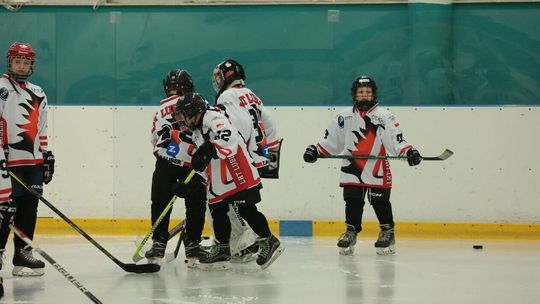 Młodzi hokeiści LHT Lublin zdobyli cenne doświadczenie