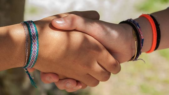 Młodzieżowa Rada Miejska w Janowie Lubelskim powołana